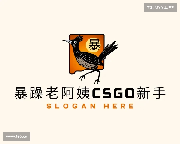 发现暴躁老阿姨csgo新手入口